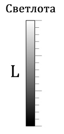L1